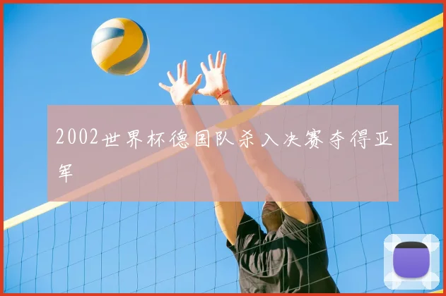 2002世界杯德国队杀入决赛夺得亚军