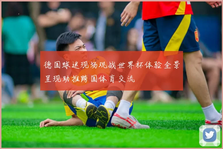 德国球迷现场观战世界杯体验全景呈现助推跨国体育交流