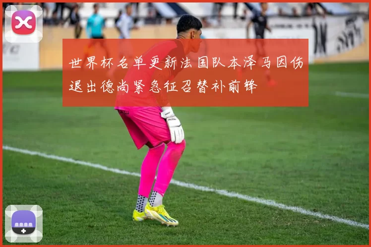 世界杯名单更新法国队本泽马因伤退出德尚紧急征召替补前锋
