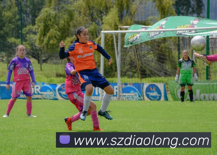 多媒体互动体验